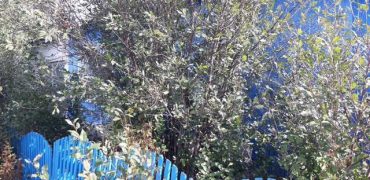 Дом 61 кв.м на участке 15 сот. в селе Большое Сорокино